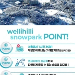 웰리힐리파크 리프트 3.3시간 + 장비대여 4시간 4개 팝니다
