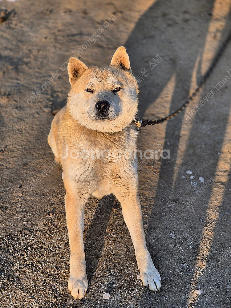 [구매요] 유진 만화책구합니다--0