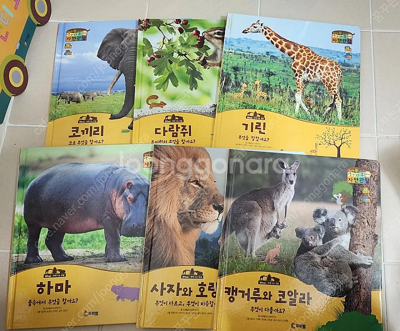 프뢰벨 생생다큐 자연관찰 전 구성--1