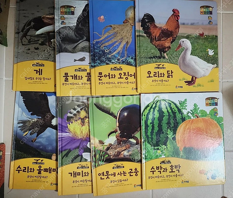 프뢰벨 생생다큐 자연관찰 전 구성--2