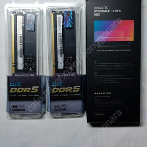 TeamGroup DDR5-5600 CL46 Elite 서린 32GB(16GBX2) 판매