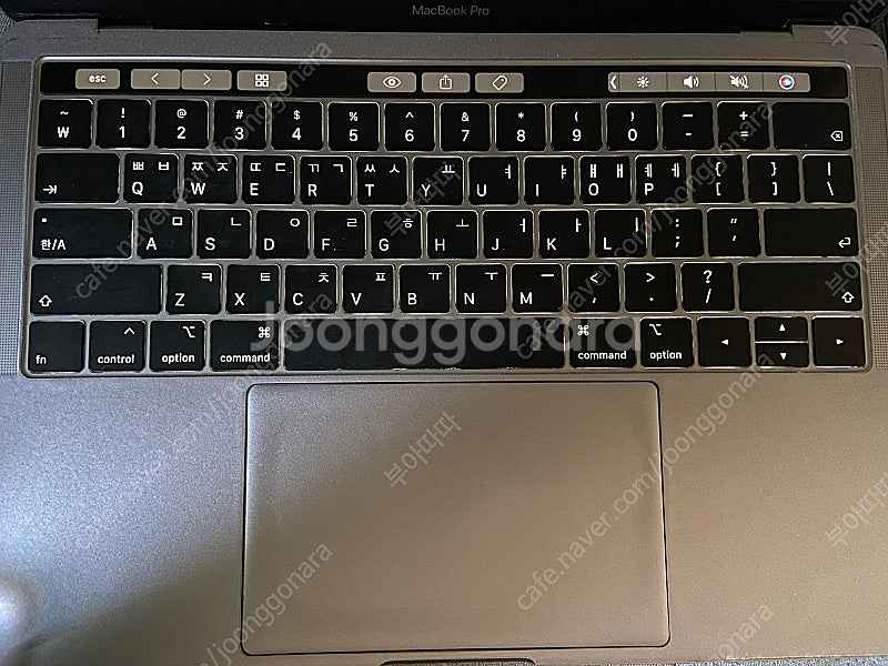 2019 맥북 프로 13인치 i5 / 256gb / 8...--2