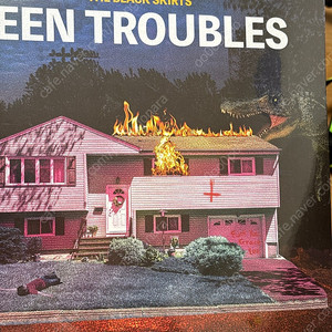 검정치마 teen troubles lp