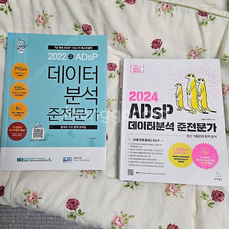 ADsP 데이터분석준전문가 민트책 미어캣 필기없음--0