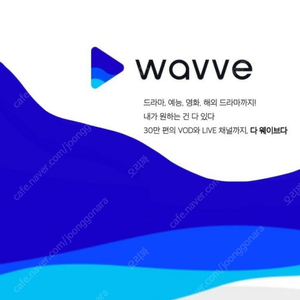 웨이브 wavve 4개월