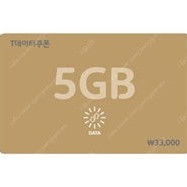 SKT T데이터쿠폰 5GB, 2GB, 1GB, 500MB 판매 (표준요금제에도 사용가능, 사용기한 1년)