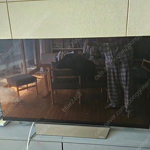 LG OLED 55인치 (번인O)