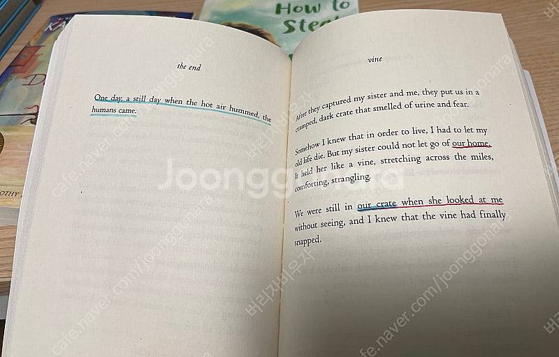 영어 원서 3권(뉴베리수상작- 더 원 앤 온리 아이반 ...--3