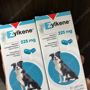 베토퀴놀 질켄 225mg 중대형견 2개 미개봉 새제품 분리불안 완화 진정