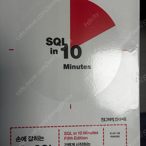 손에 잡히는 10분 SQL