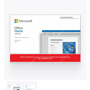 MS Office Home 2024 영구버전