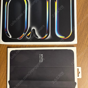 아이패드(ipad) pro 11(M4) 256GB wifi + 정품케이스