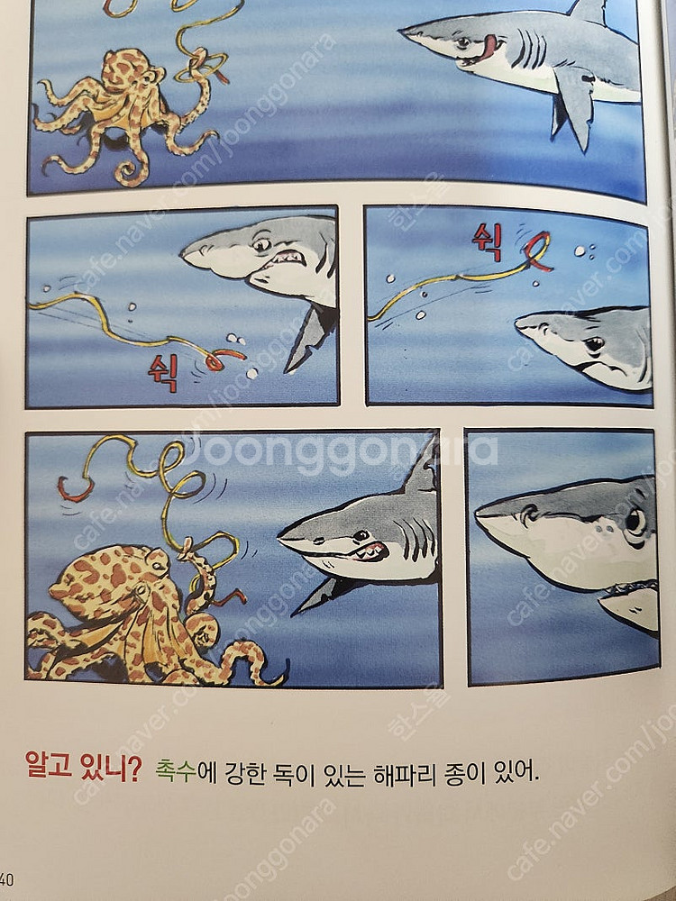 웅진 정말?진짜!동물탐험--3