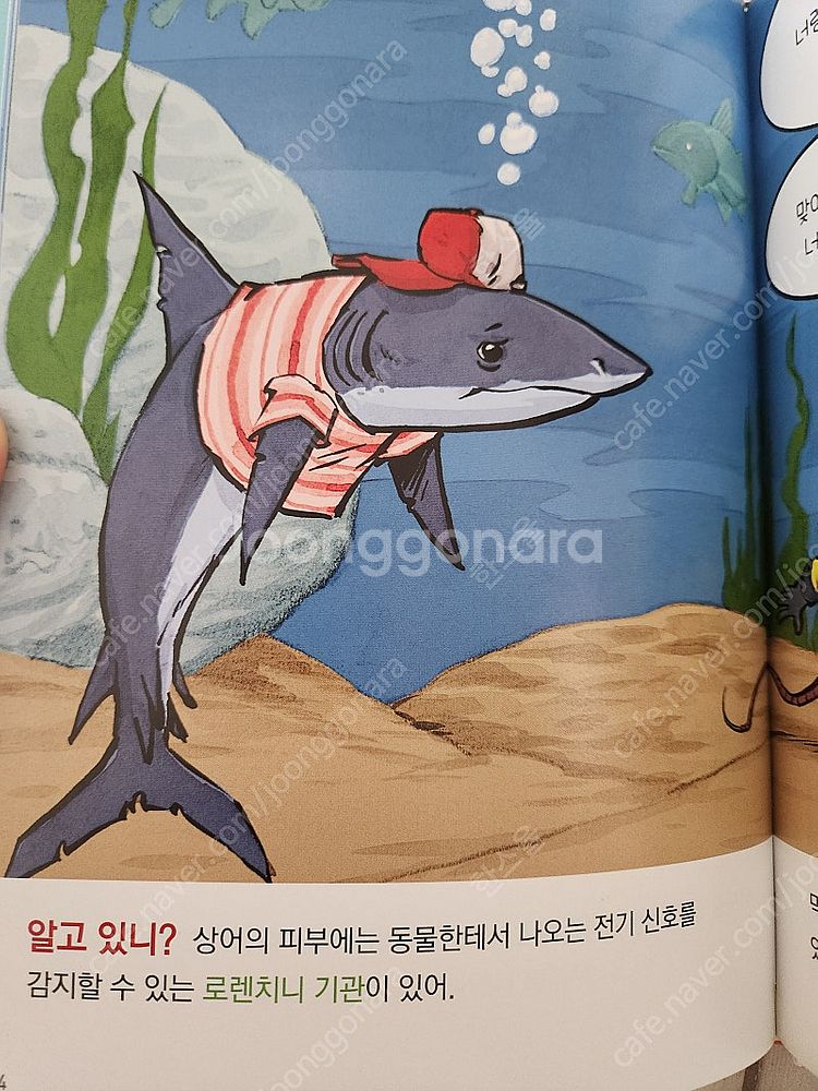 웅진 정말?진짜!동물탐험--5