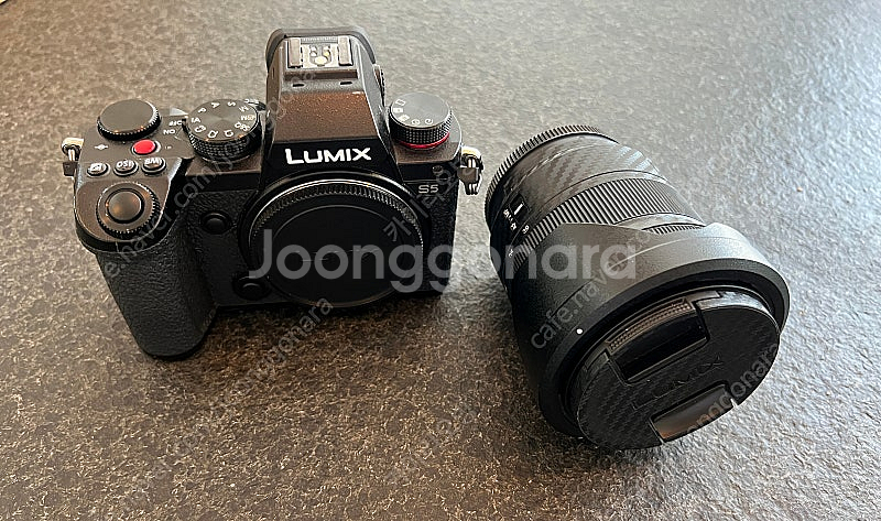파나소닉 루믹스 S5 + 20-60렌즈--1
