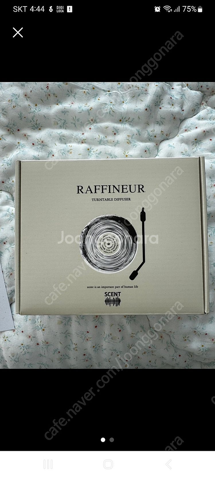 라피네르 턴테이블 디퓨저--0