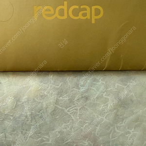 redcap 290만원상품권 팝니다