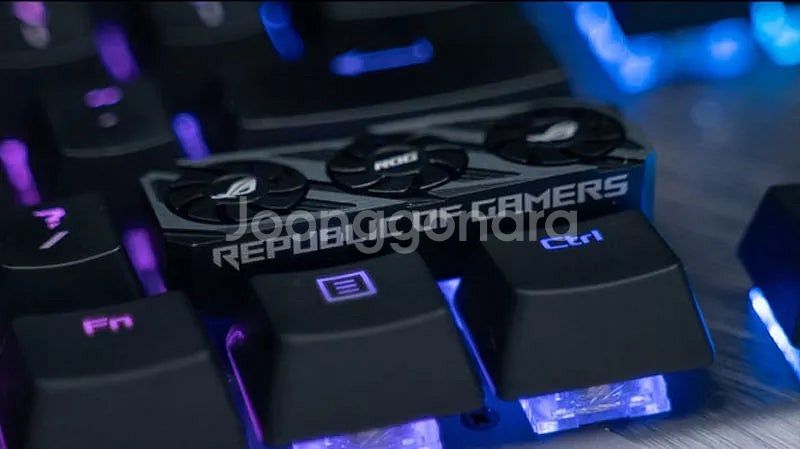 asus 5090 그래픽카드 키캡 삽니다--0