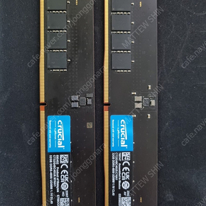 마이크론 DDR5 64G(32×2)