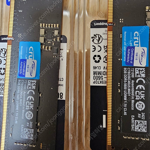 크루셜 DDR5 5600 8G x 2