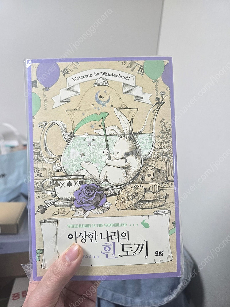 이상한나라의 흰토끼 소설 + 외전 판매합니다--0