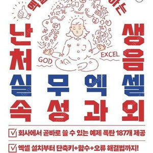 난생처음 실무엑셀 속성과외 판매합니다.