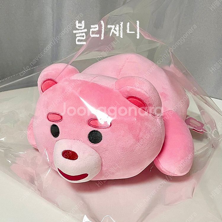 새상품)정품! 벨리 곰 라잉 인형, 핑크 곰돌이 인형 ...--0