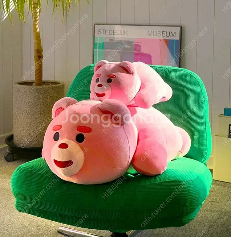 새상품)정품! 벨리 곰 라잉 인형, 핑크 곰돌이 인형 ...--1