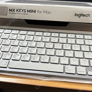 MX keys mini for mac