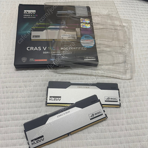 KLEVV DDR5 7200 CL34 CRAS V RGB ROG 48GB (24GB*2)