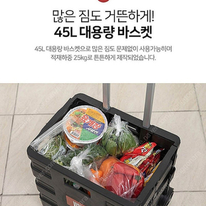 [새상품] 비스카 접이식 폴딩 카트(45L)