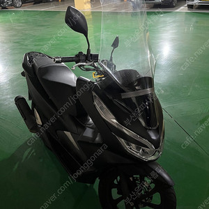 Pcx125 19년식 팝니다