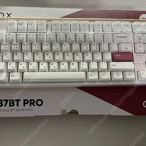 콕스 CNK87BT PRO LL 8K 레피드트리거 키보드 팝니다.