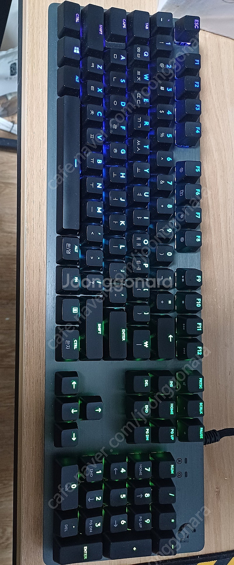 g512 carvon gx blue--0