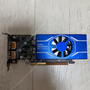 Radeon pro W6400 LP