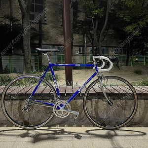 Gios Torino Compact Pro Evolution 완차