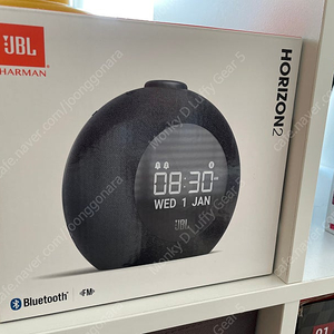 JBL Harman 호라이즌2