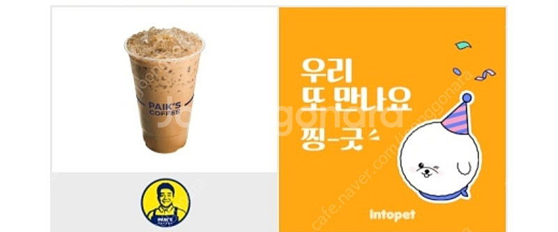빽다방 아메리카노 HOT / 원조커피 ICED--1