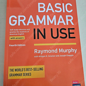 Grammar in use (Basic)