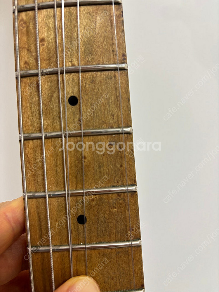 콜트 일렉기타 닐자자 시그너처 2 nzs-2--2