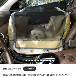 거의 새제품인 강아지 카시트 팔아요