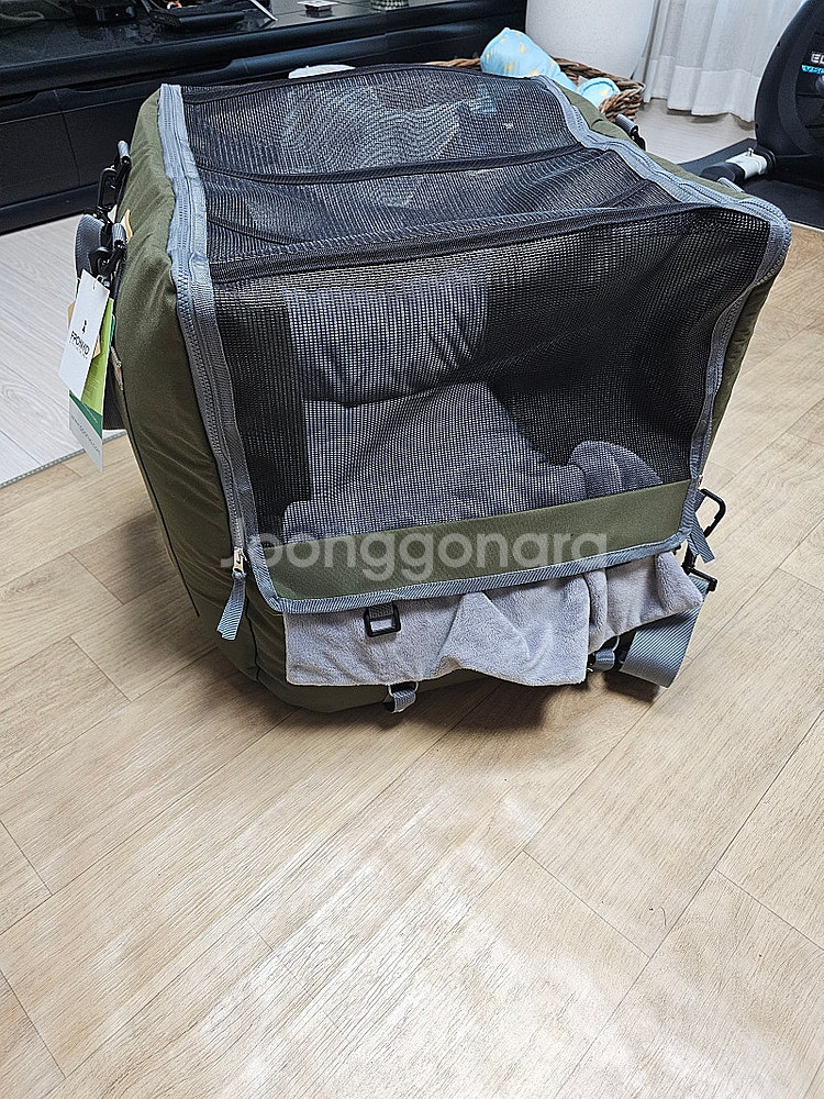 거의 새제품인 강아지 카시트 팔아요--2