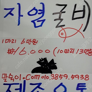 홍천 자염굴비ㅡ미네랄36가지소금으로 숙성굴굴비 제조유통1마리16000원10마리13만원90%홍보세일 ㅡ말숙이.com,01038595938