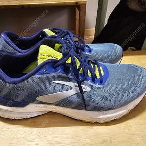 BROOKS 브룩스 라벤나10 270