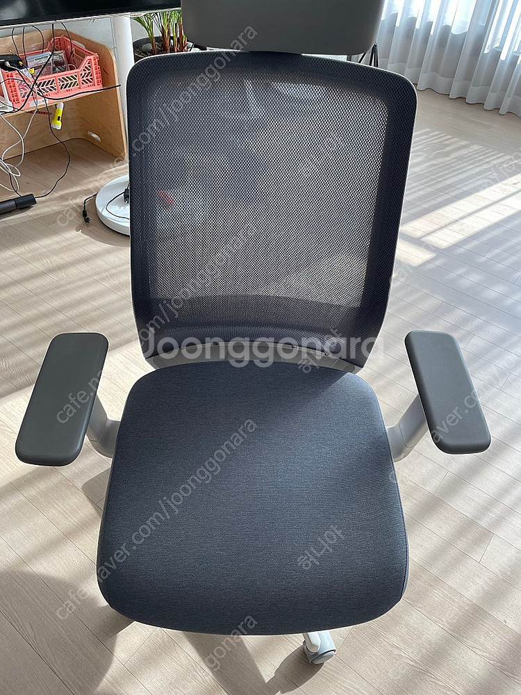 시디즈 T50 HLDA 의자--0