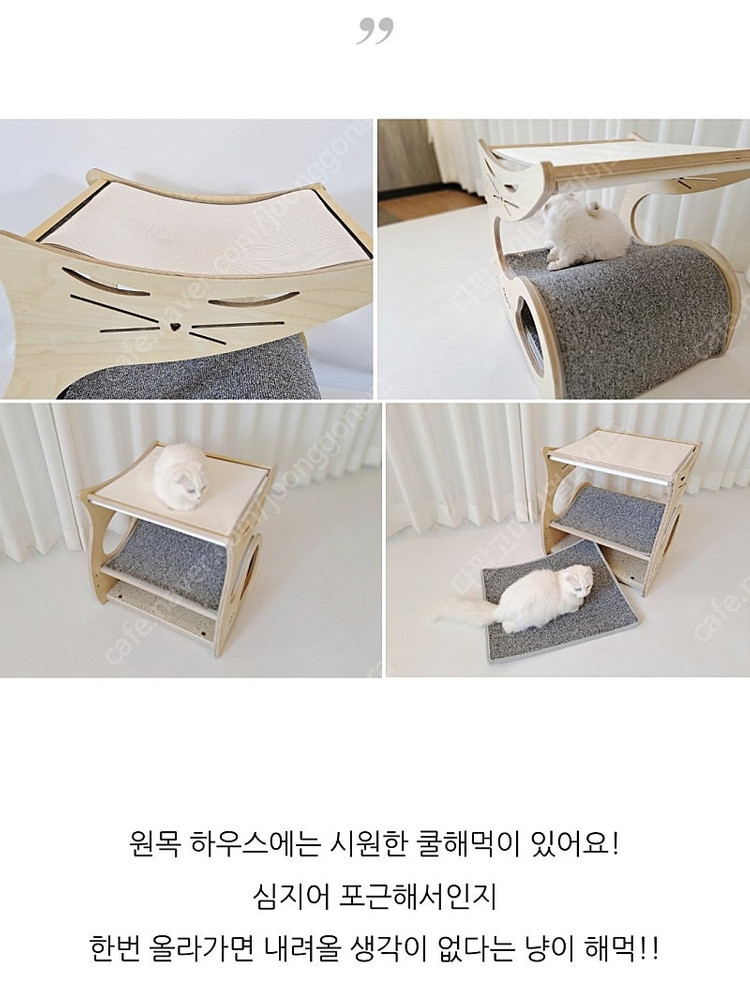 (15만원 할인) RGU 알지유 오묘한 해먹 원목 하우스 숨숨집 스크래쳐--3