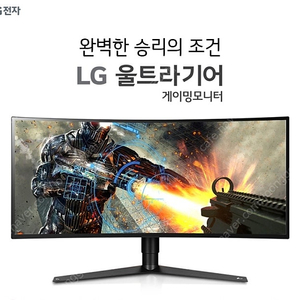 LG전자 34GK950F 34인치 울트라기어 나노IPS 144Hz 프리싱크 게이밍모니터  커브드