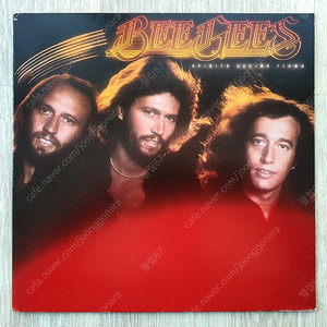 Bee Gees - Spirits Having Flown 1979년 미국반