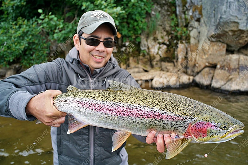 (초레어) FLY FISHING 플라이피싱 플라이 낚시...--5