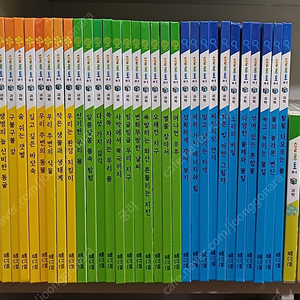 빨간펜 최신개정판 솔루토이 과학 전35권 CD완벽 / 호야토야 세계옛이야기 전50권 CD완벽 택포